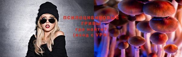 эйфоретик Алзамай