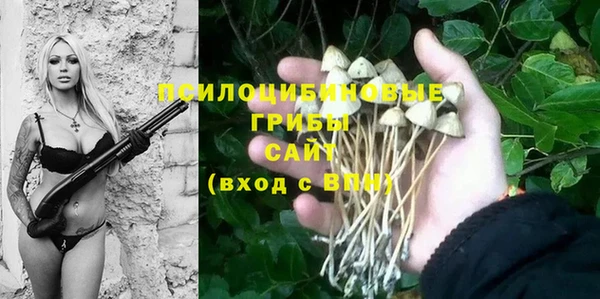 ГАЛЛЮЦИНОГЕННЫЕ ГРИБЫ Майский
