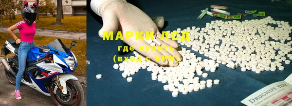 ГАЛЛЮЦИНОГЕННЫЕ ГРИБЫ Майский