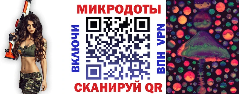 Галлюциногенные грибы Psilocybine cubensis  Шадринск 