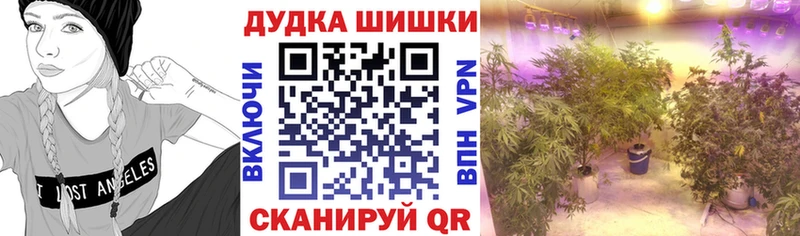 наркошоп  Шадринск  Каннабис семена 